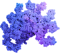 Transthyretin tetramer destabilizes