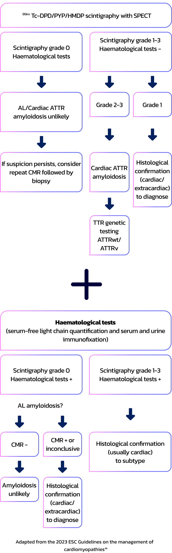 diagnosis-flowchat