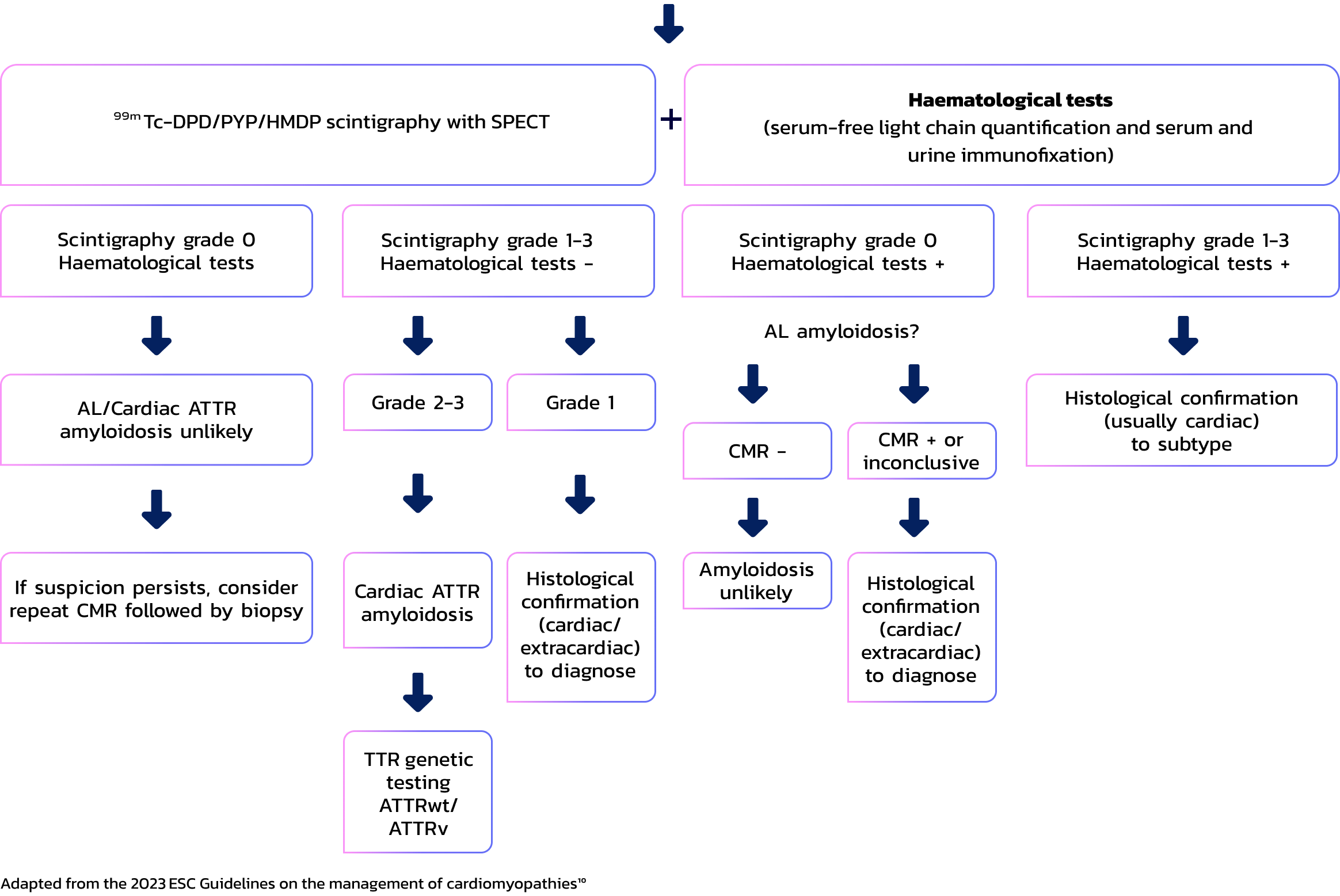 diagnosis-flowchat